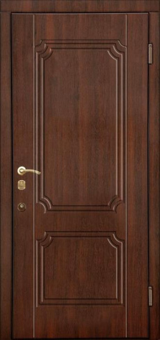 Стальная дверь Порошок №102