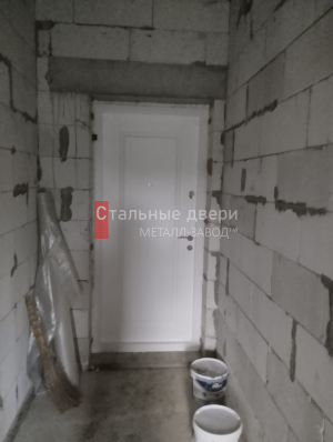 Фото установленной двери №391 в Краснозаводске