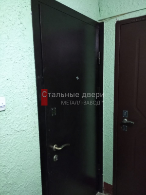Фото установленной двери №217 в Краснозаводске