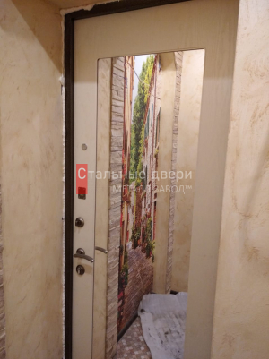 Фото установленной двери №216 в Краснозаводске